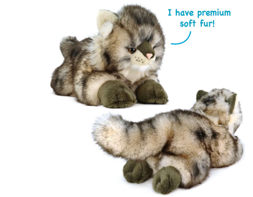 The Maine Coon cat| 16 Inch Stuffed Animal Plush