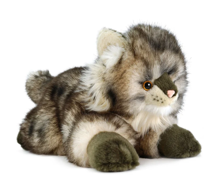 The Maine Coon cat| 16 Inch Stuffed Animal Plush